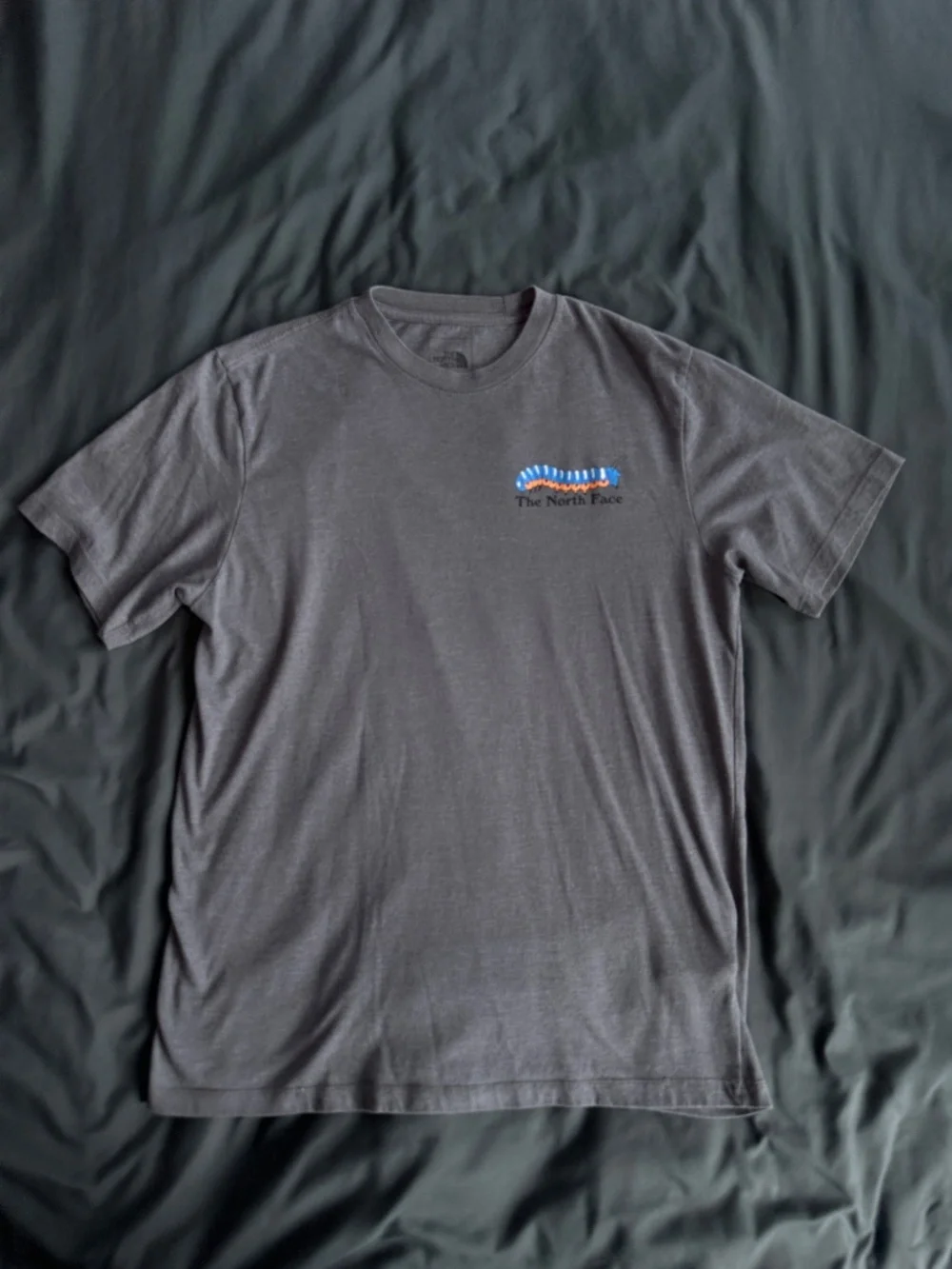 The North Face gray north